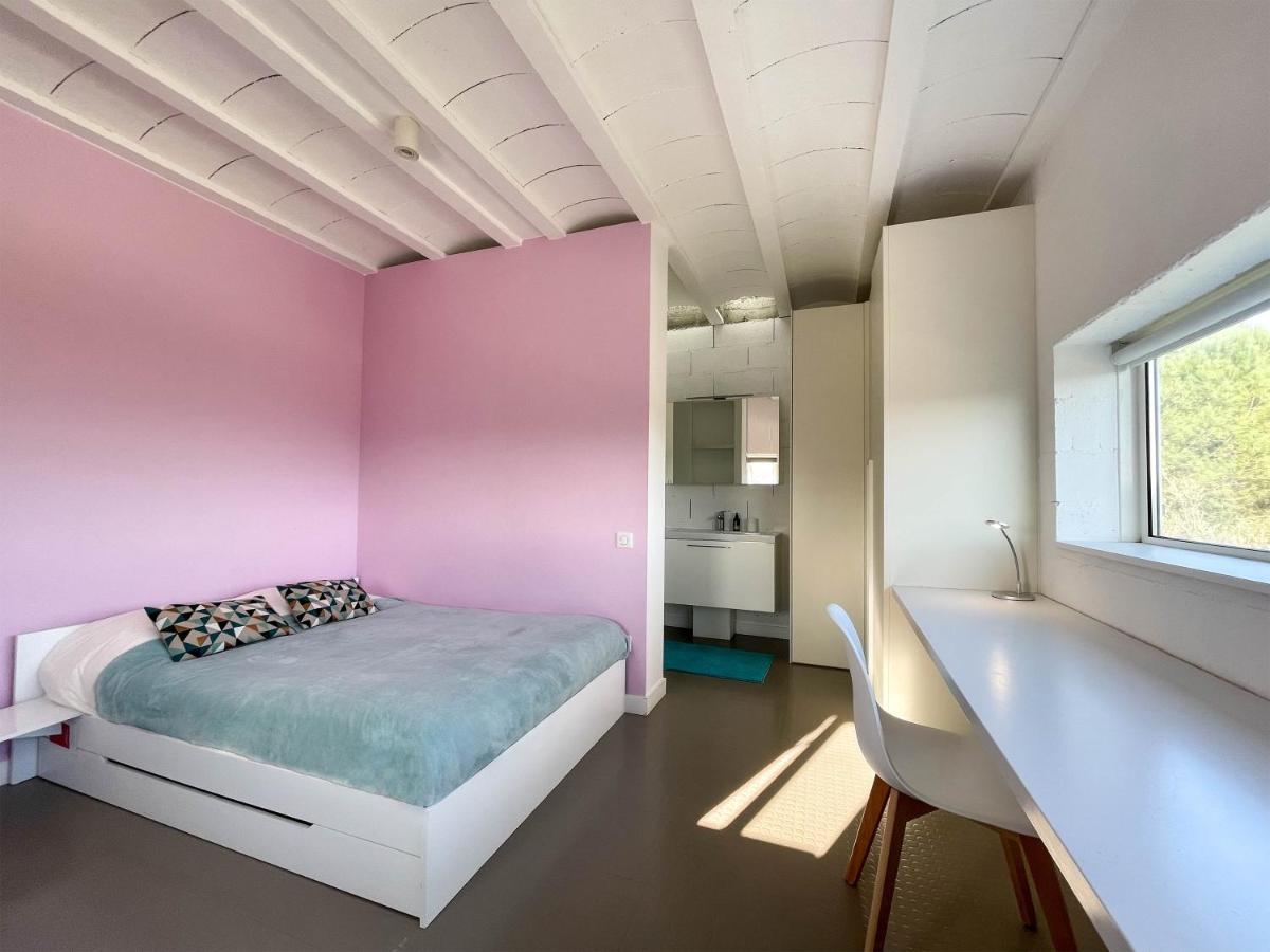 Villa Des Cathares カルカソンヌ エクステリア 写真