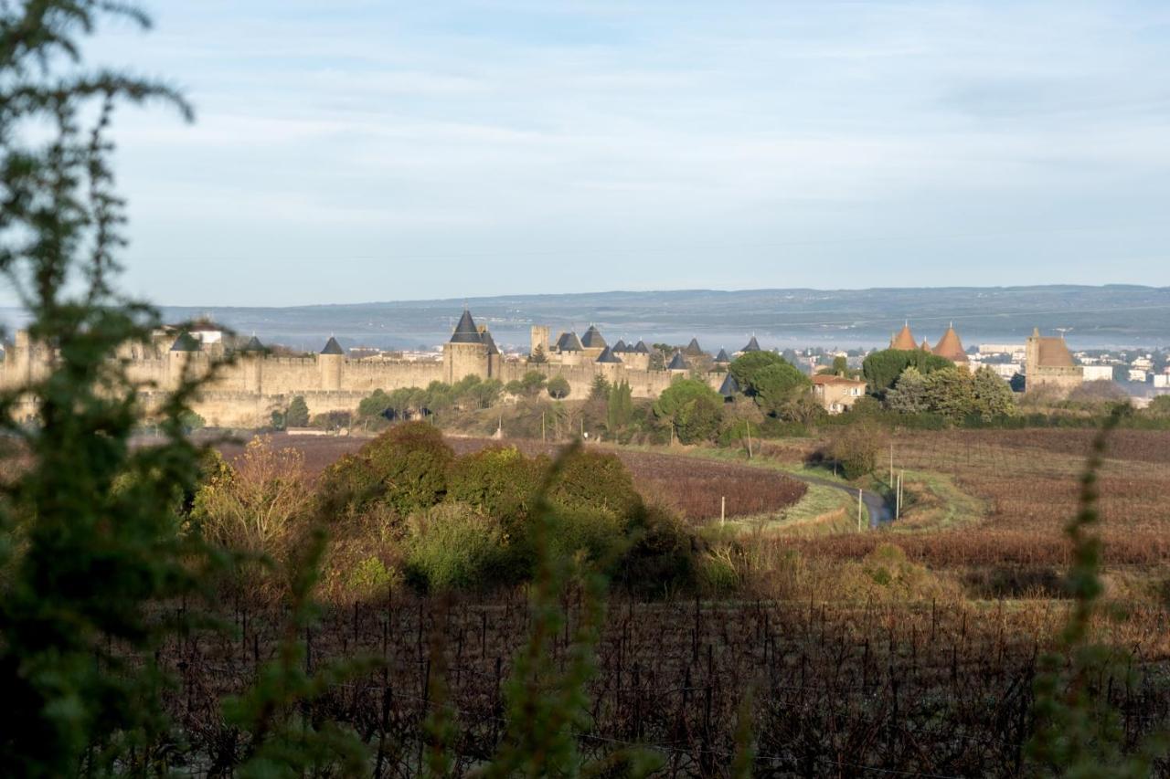 Villa Des Cathares カルカソンヌ エクステリア 写真