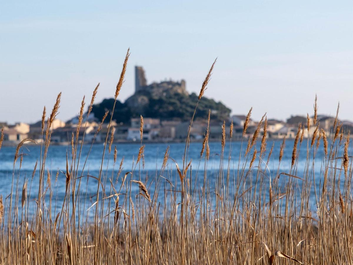 Villa Des Cathares カルカソンヌ エクステリア 写真