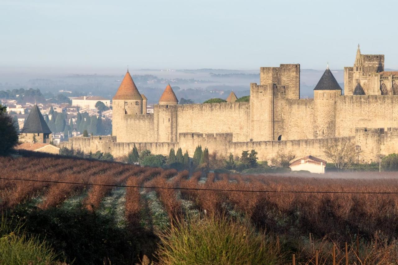 Villa Des Cathares カルカソンヌ エクステリア 写真