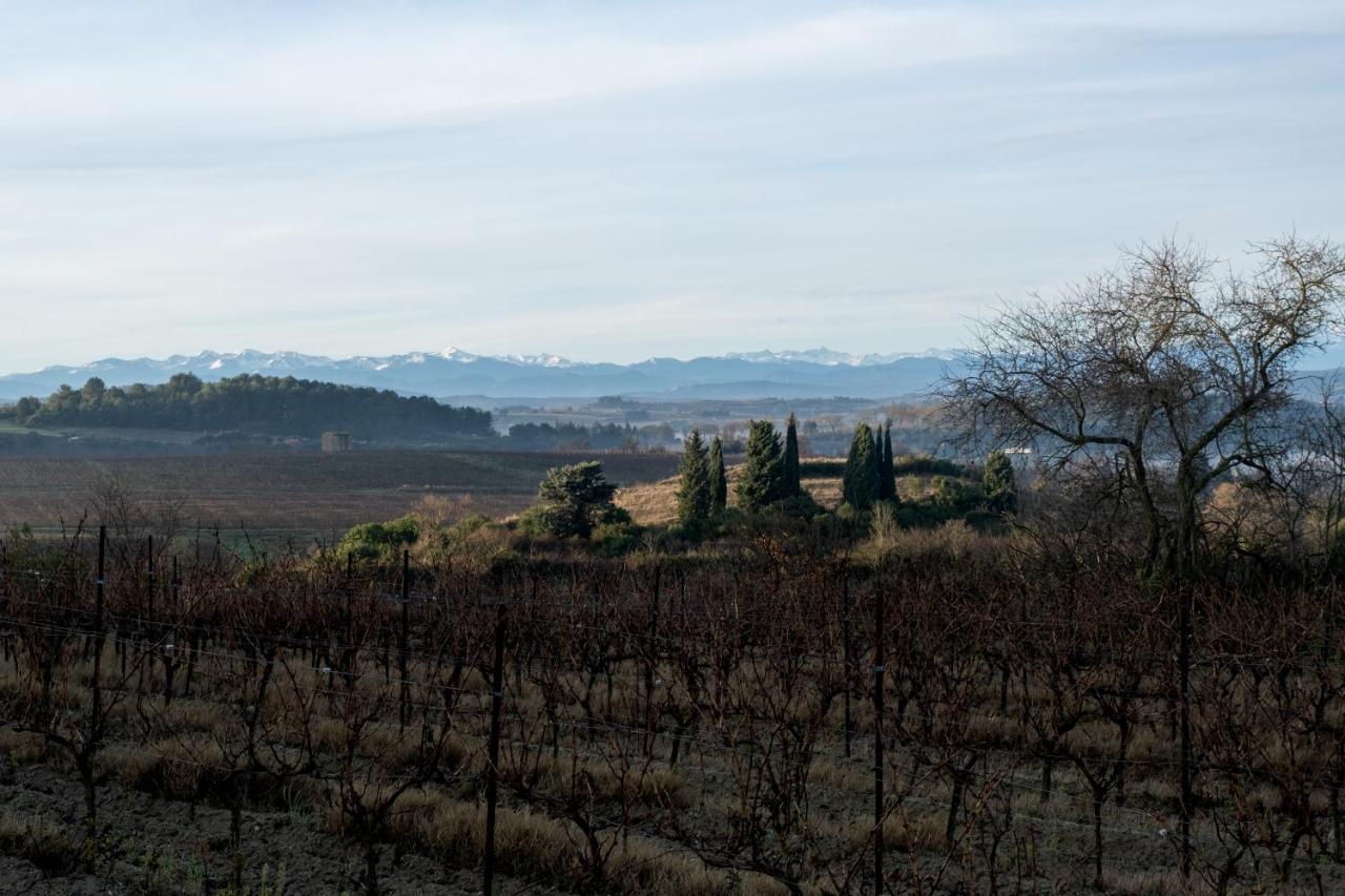 Villa Des Cathares カルカソンヌ エクステリア 写真
